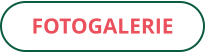 FOTOGALERIE